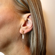 Load image into Gallery viewer, Dögg Earrings
