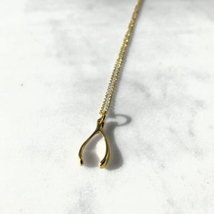 Wishbone necklace