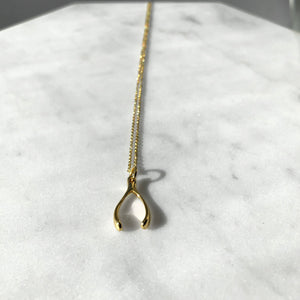 Wishbone necklace